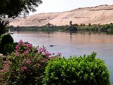 Assouan Ile Kitchener 0791